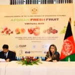 Afghan Fruit Virtual